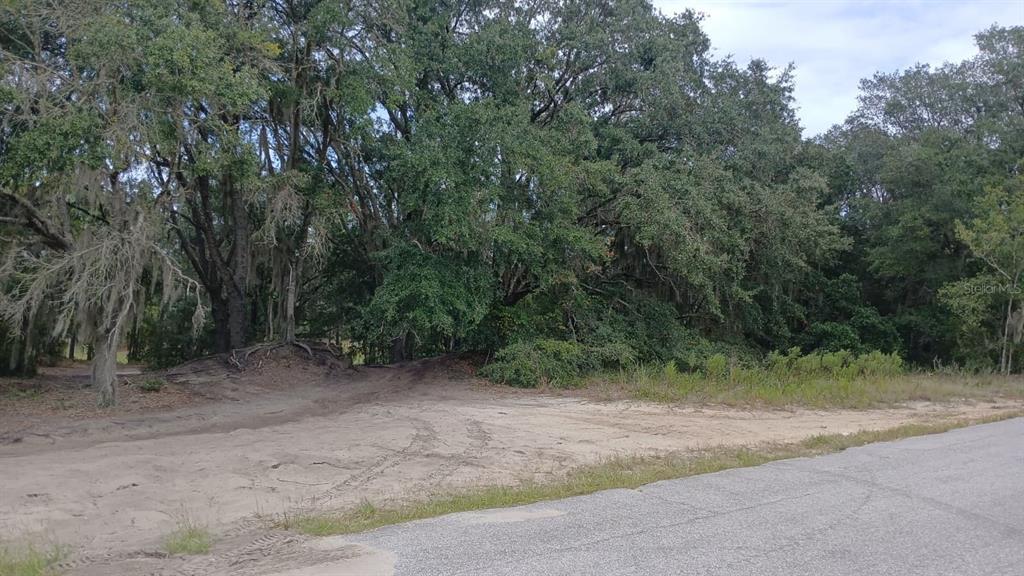 Southeast Malauka Loop Run Road Ocklawaha, FL 32179 - Photo 2 of 2 Gallery Image 2