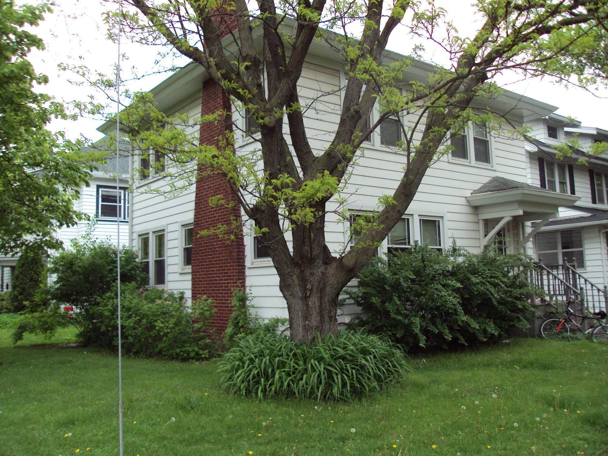 1728 Regent Street, Unit 1 Madison, WI 53726 - Photo 1 of 1