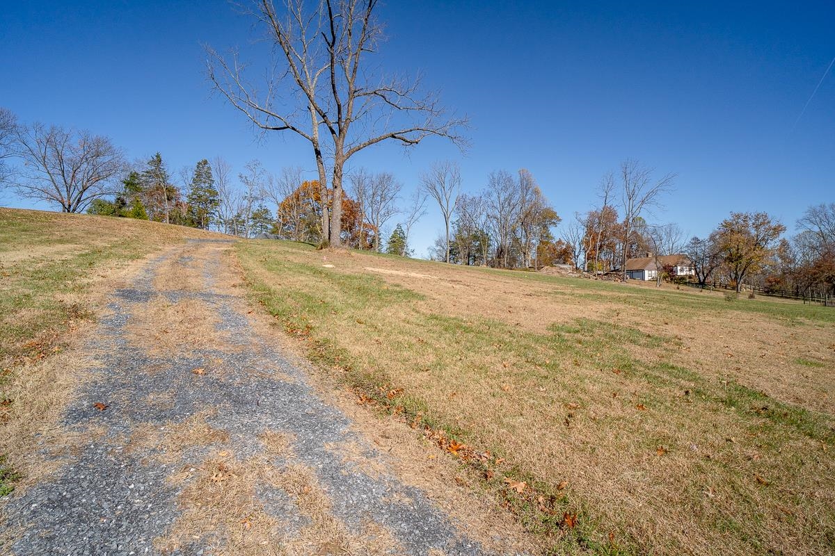Tbd Roman Ridge Road West Mount Sidney, VA 24467 - Photo 16 of 16 Gallery Image 16