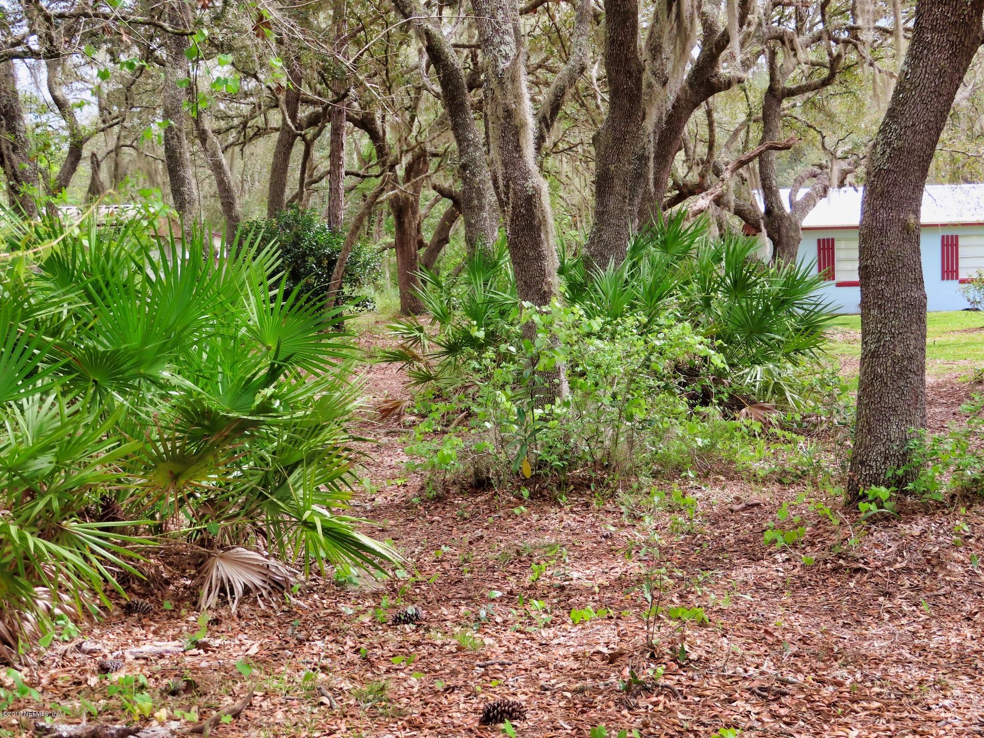 128 Hoover Road Palatka, FL 32177 - Photo 2 of 55 Beautiful oak trees...