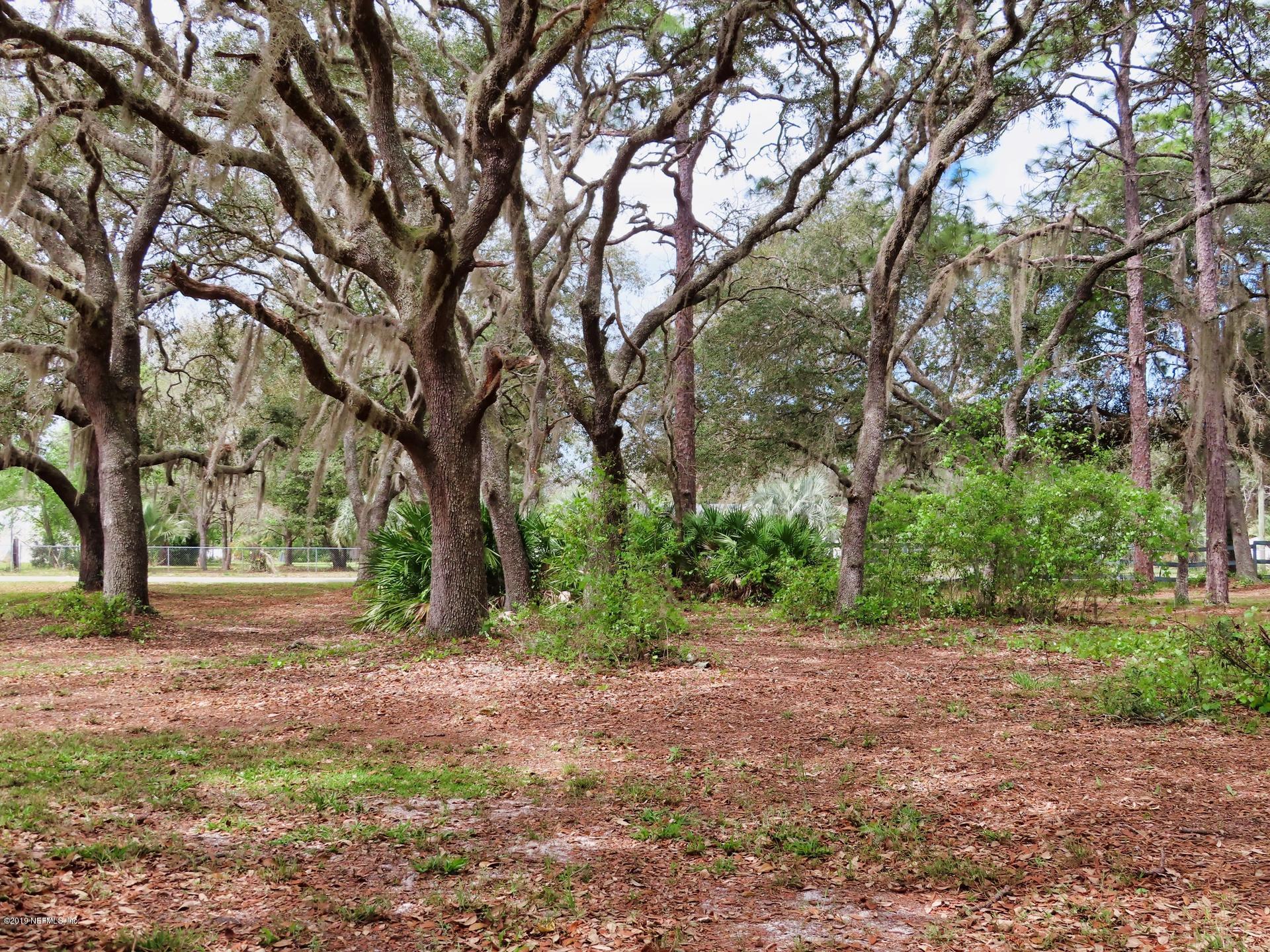 128 Hoover Road Palatka, FL 32177 - Photo 5 of 55 Trees to climb...
