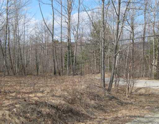 Lot C Happytown Road Orland, ME 04472 - Photo 2 of 5 Land.