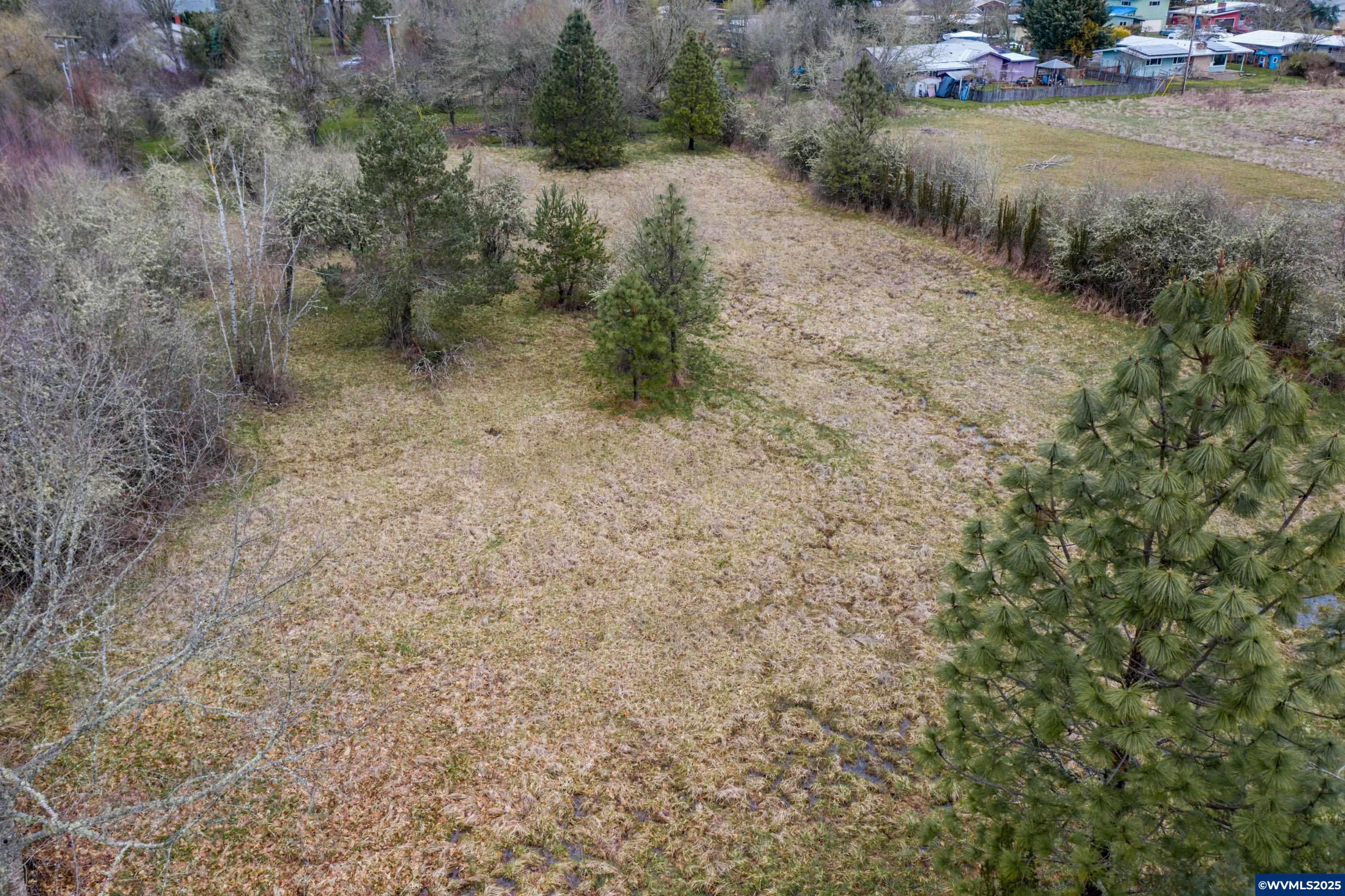 Parcel #142681 Southwest Parcel Street Corvallis, OR 97333 - Photo 4 of 8