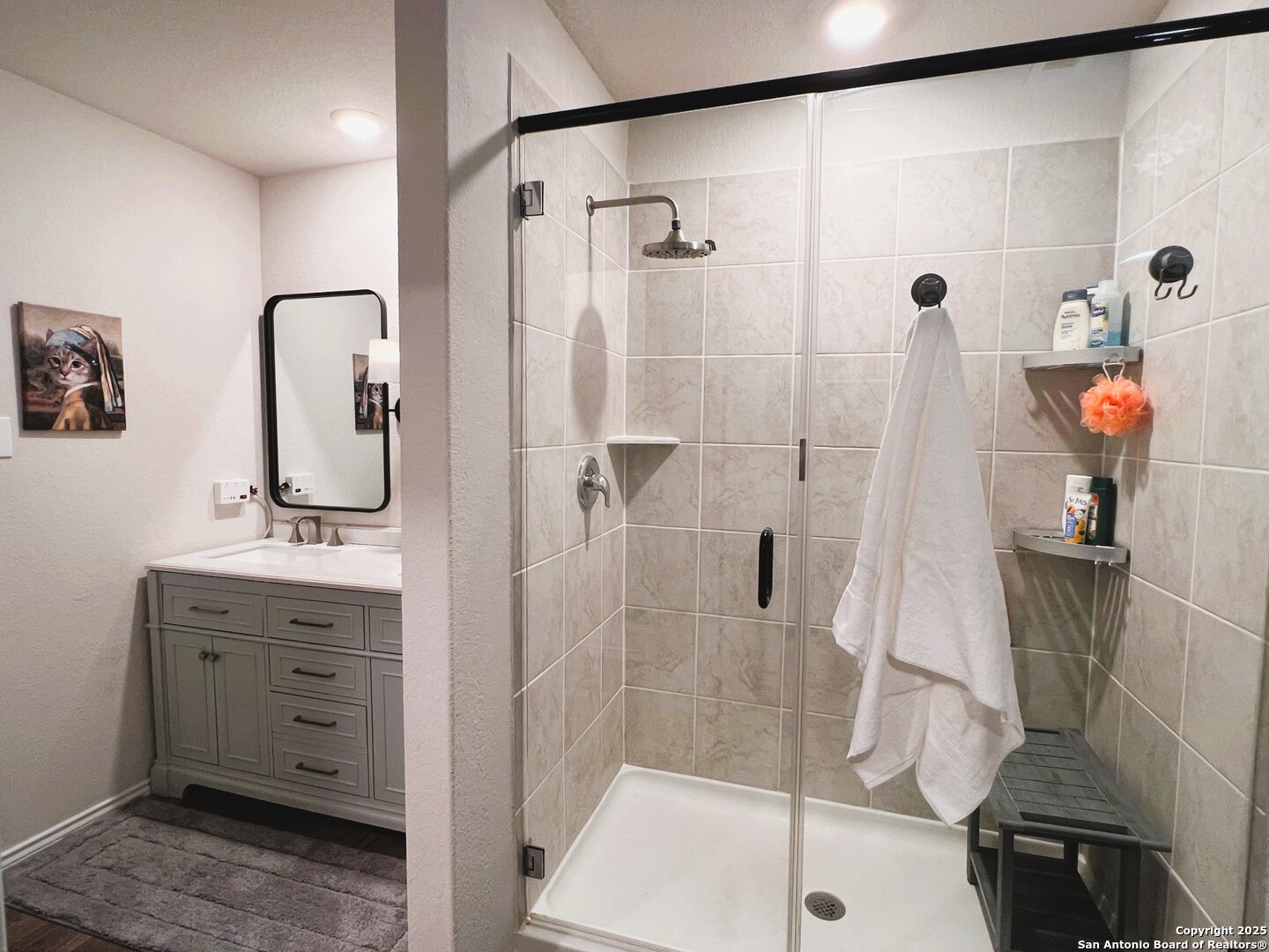 4414 Lake Ritter Street St. Hedwig, TX 78152 - Photo 21 of 35