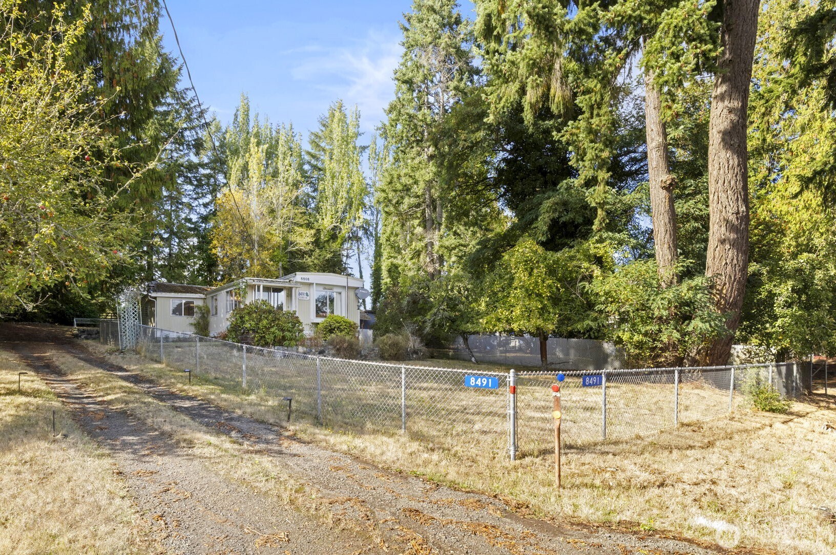 a view of a backyard