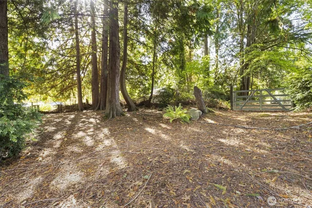 a view of outdoor space and yard