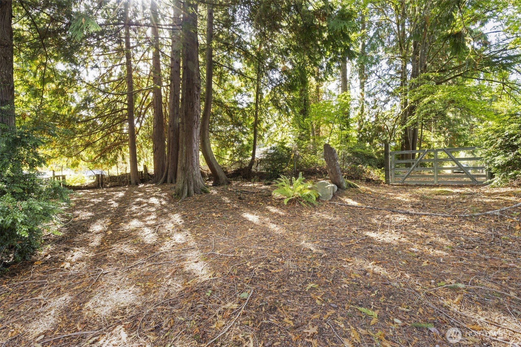 8491 Illahee Road Northeast Bremerton, WA 98311 - Photo 6 of 36 a view of outdoor space and yard