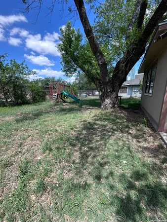 a view of a tree in a yard with a house