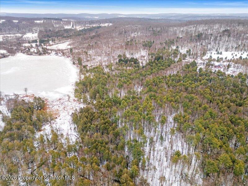Stanley Lake Road Friendsville, PA 18818 - Photo 11 of 14