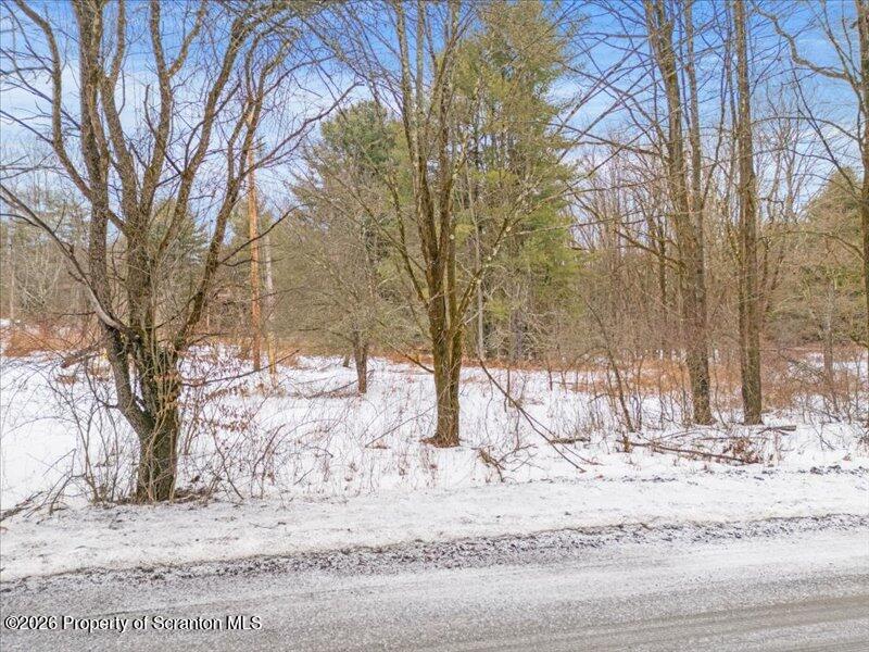 Stanley Lake Road Friendsville, PA 18818 - Photo 14 of 14 a view of covered with snow on the road