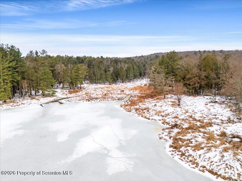 Stanley Lake Road Friendsville, PA 18818 - Photo 4 of 14 a view of a yard with a snow