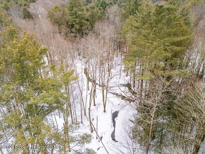 Stanley Lake Road Friendsville, PA 18818 - Photo 7 of 14 a picture of trees