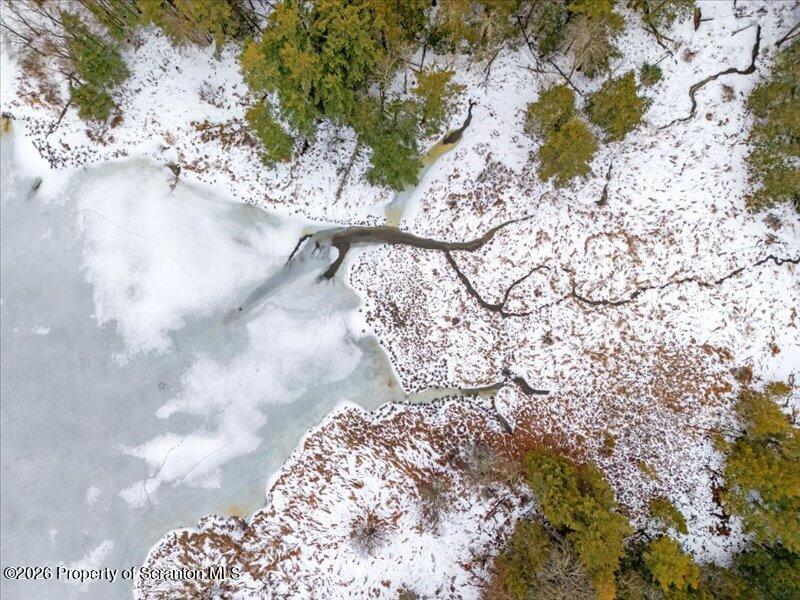 Stanley Lake Road Friendsville, PA 18818 - Photo 8 of 14 a close up of a vase of flowers