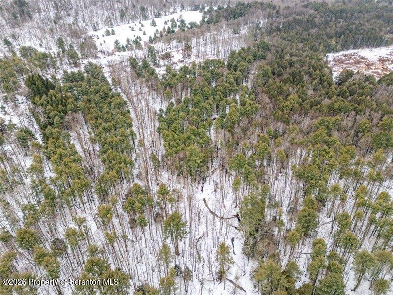 Stanley Lake Road Friendsville, PA 18818 - Photo 9 of 14 a view of forest