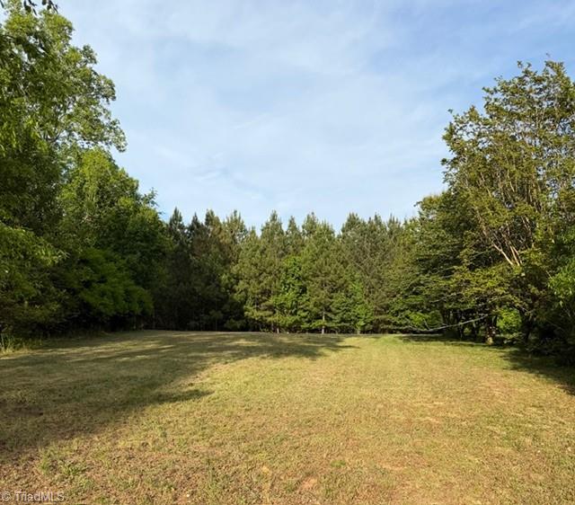 919 County Home Road Reidsville, NC 27320 - Photo 6 of 7