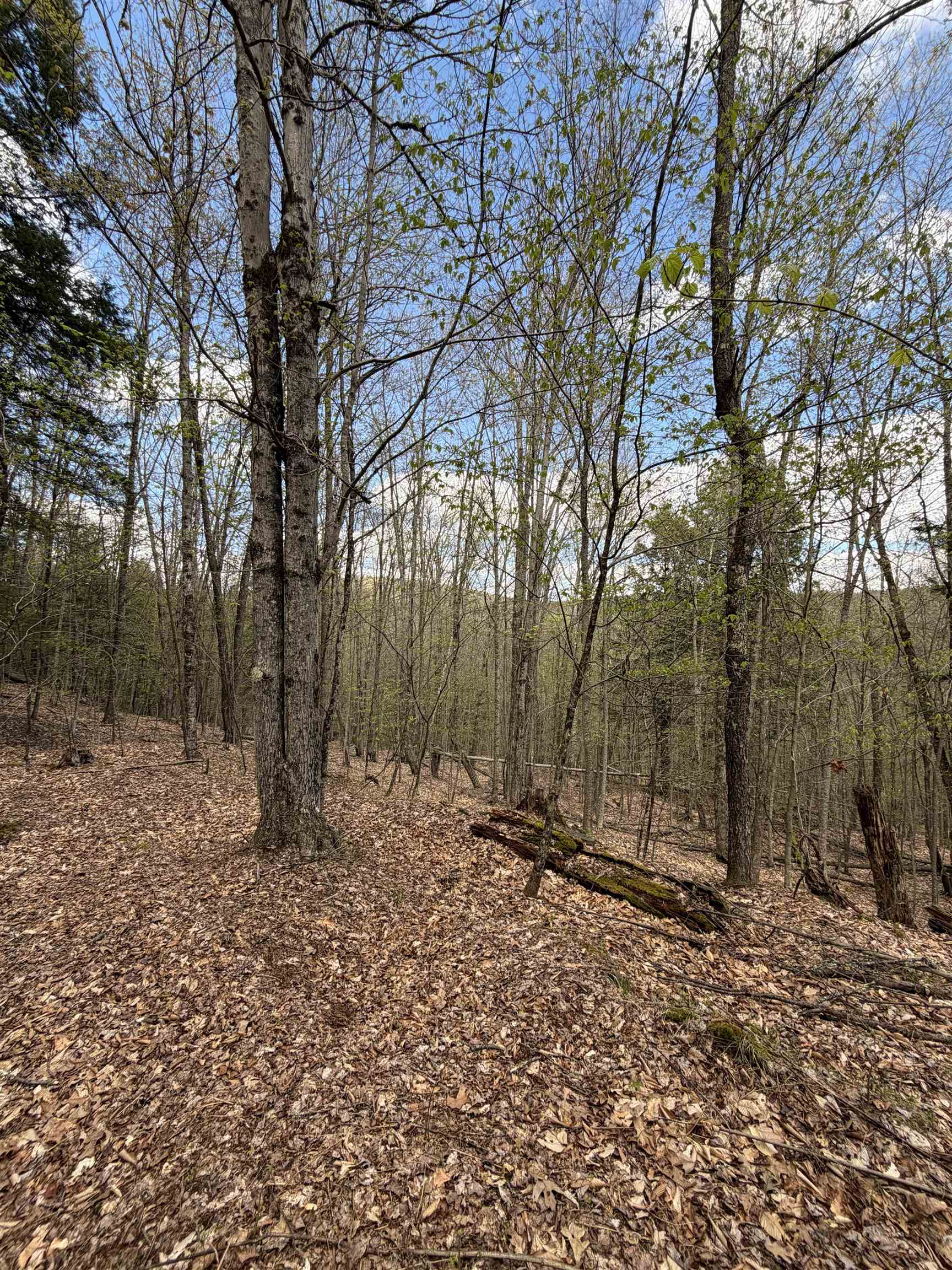 0 Dothan Road White River Junction, VT 05001 - Photo 10 of 15