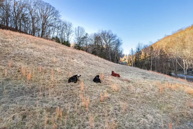 $795,000 | 2149 Talley Road, Belfast, TN 37019