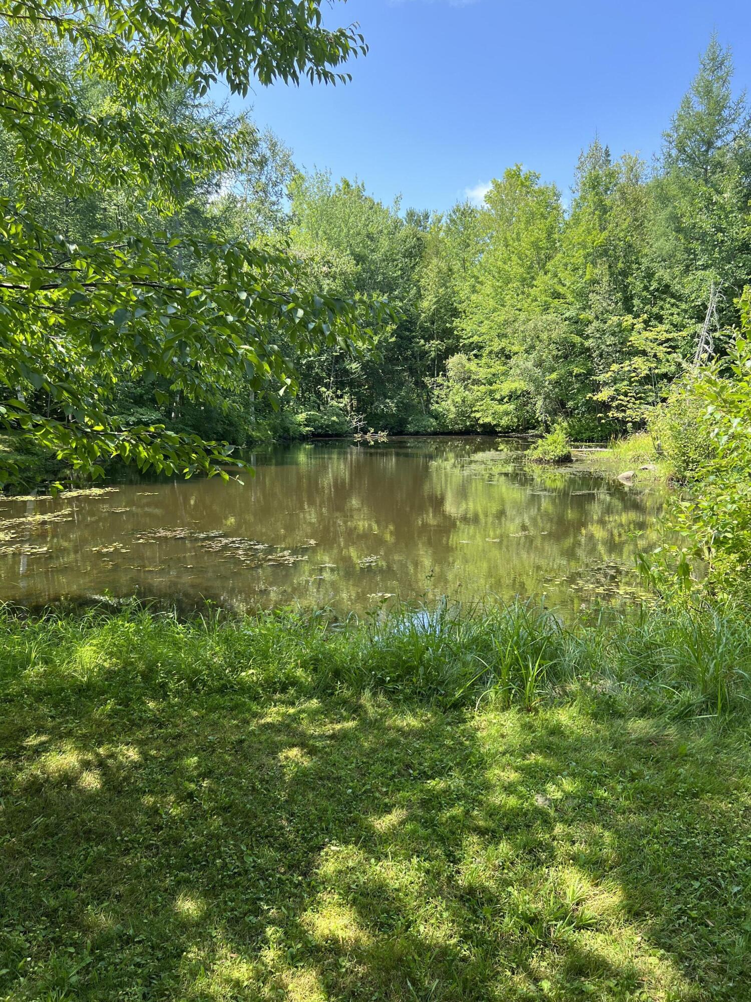43 Berry Road Pittsfield, ME 04967 - Photo 74 of 78 pond