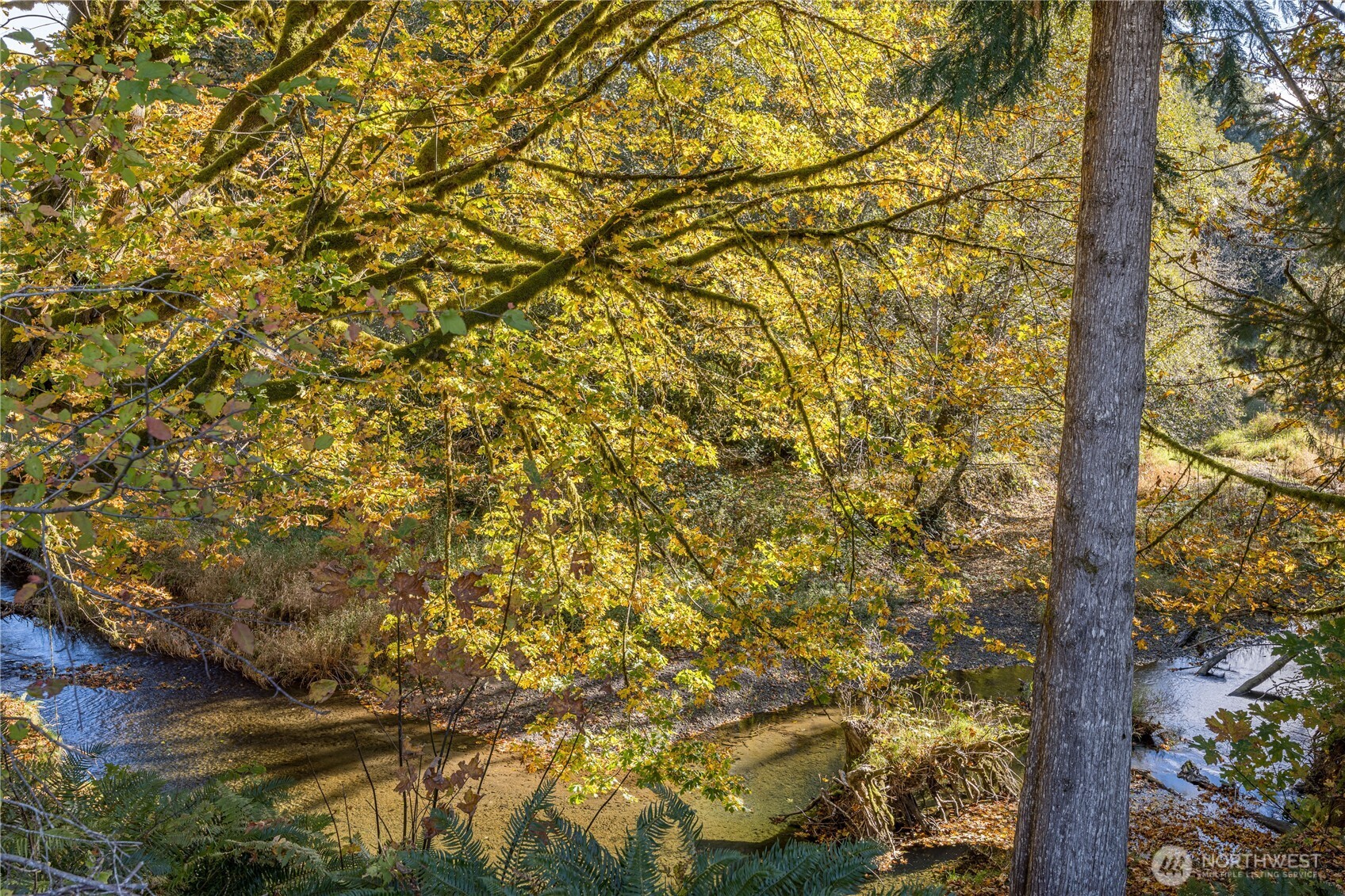 2095 Bear Creek Road Port Angeles, WA 98363 - Photo 20 of 39 a view of a yard