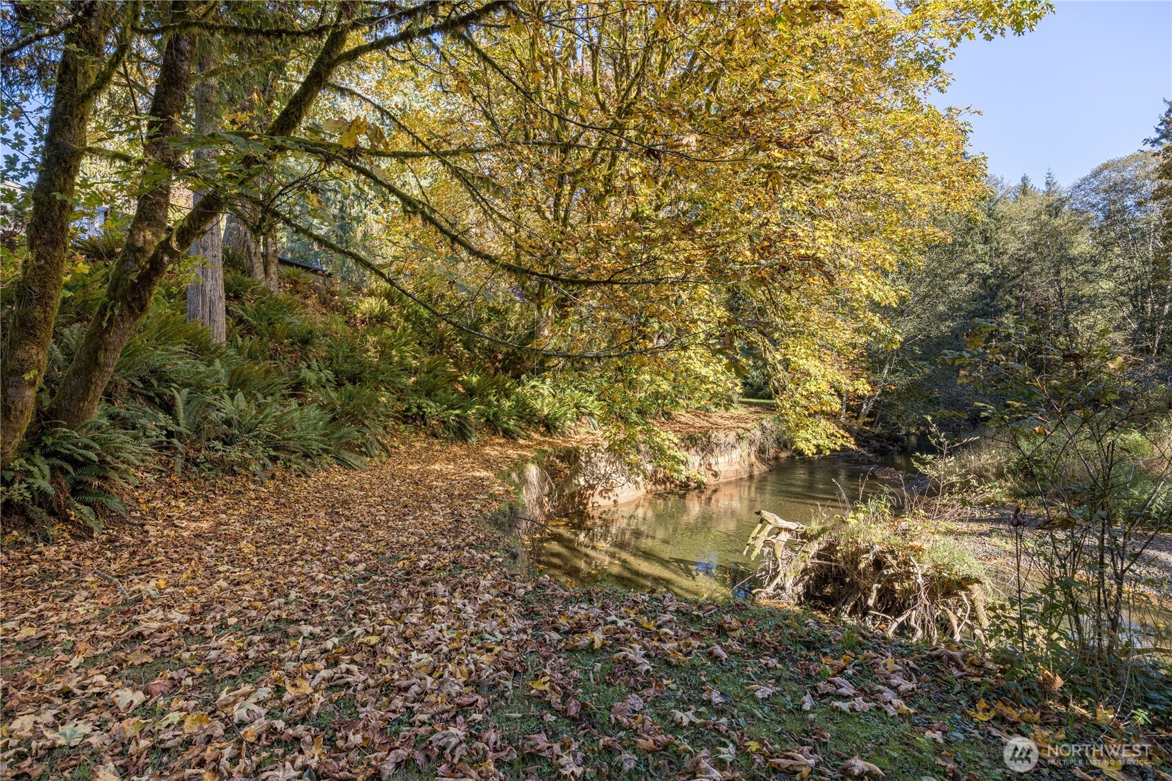 2095 Bear Creek Road Port Angeles, WA 98363 - Photo 24 of 39 a view of a yard with a tree