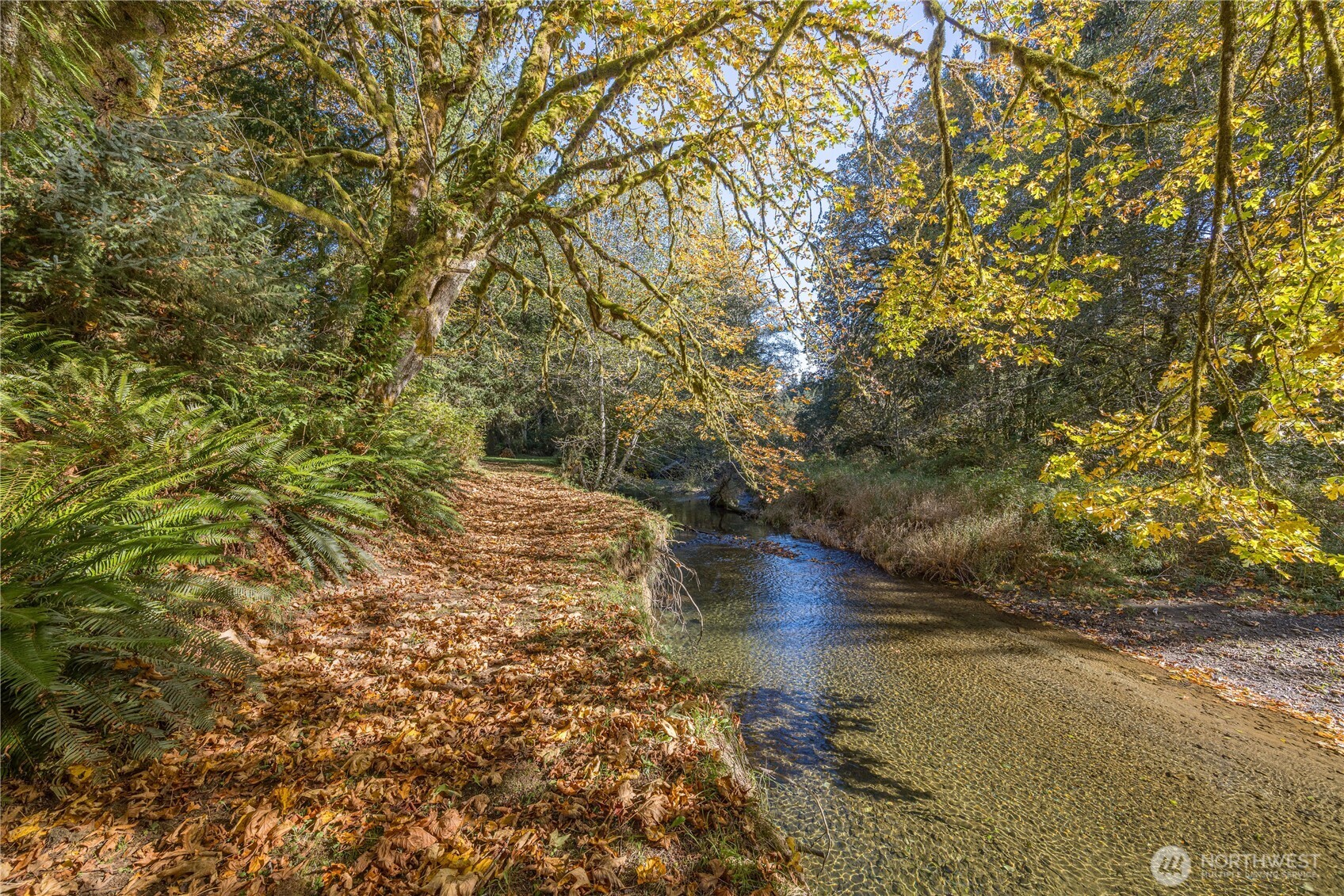 2095 Bear Creek Road Port Angeles, WA 98363 - Photo 27 of 39