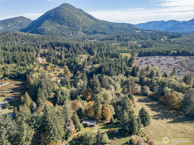 a close up of a tree