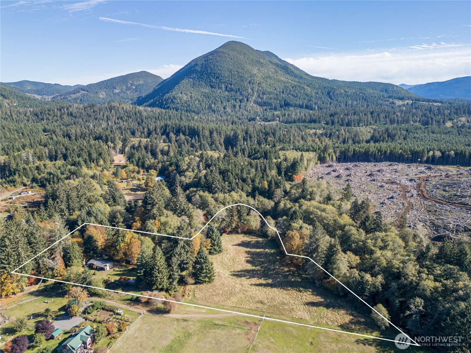 2095 Bear Creek Road Port Angeles, WA 98363 - Photo 32 of 39 a view of a forest with mountains in the background