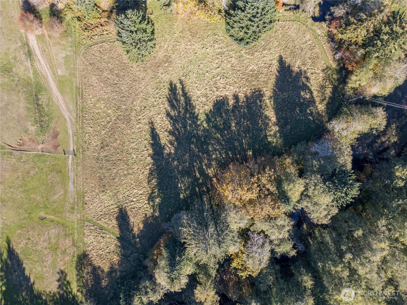 2095 Bear Creek Road Port Angeles, WA 98363 - Photo 33 of 39 a close up of a tree