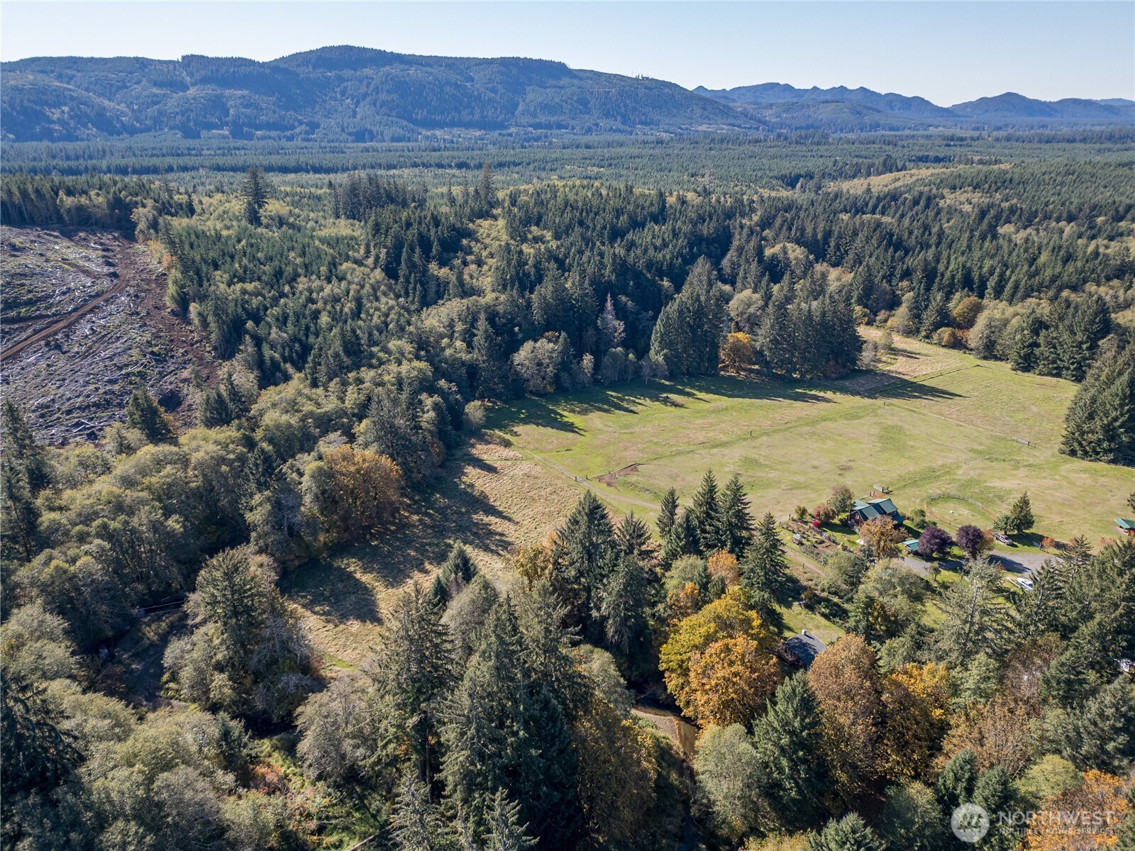 2095 Bear Creek Road Port Angeles, WA 98363 - Photo 34 of 39 a view of a house with a forest