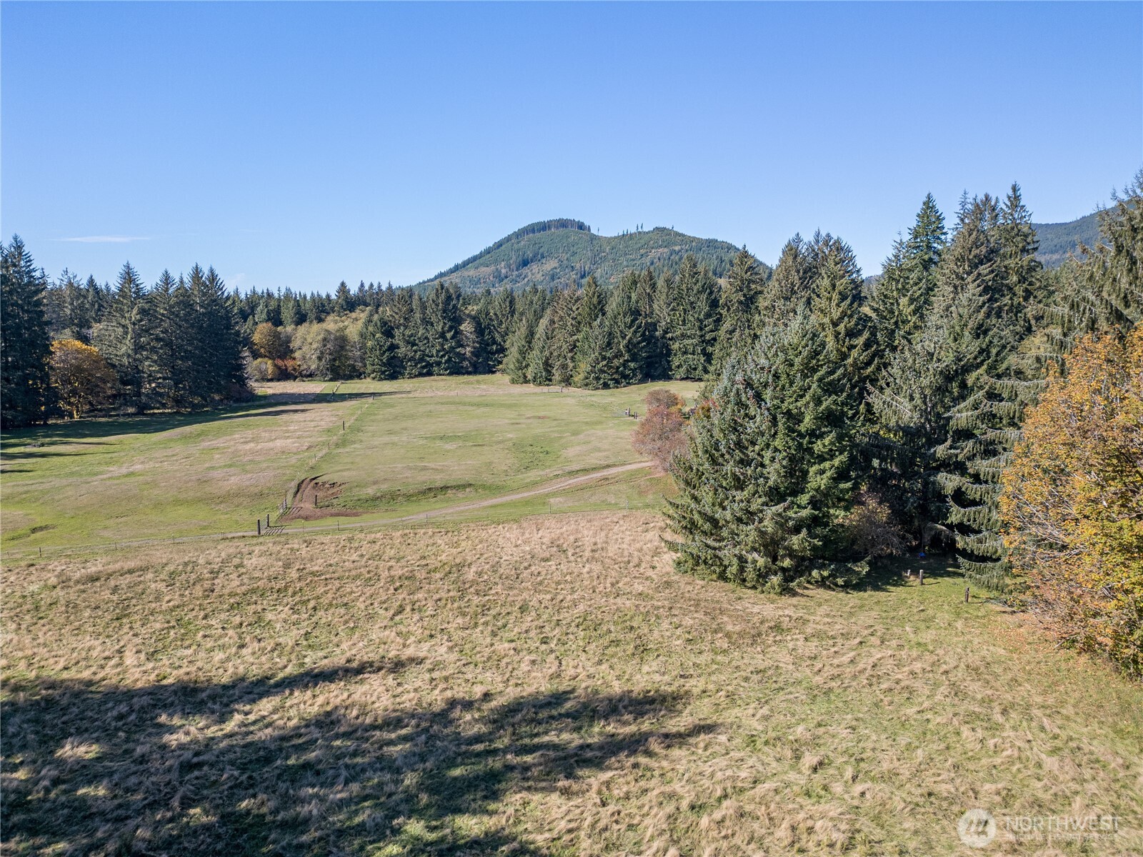2095 Bear Creek Road Port Angeles, WA 98363 - Photo 36 of 39 a view of a yard with an outdoor space