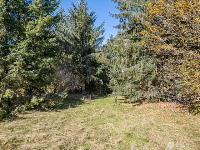 a view of lake with green space