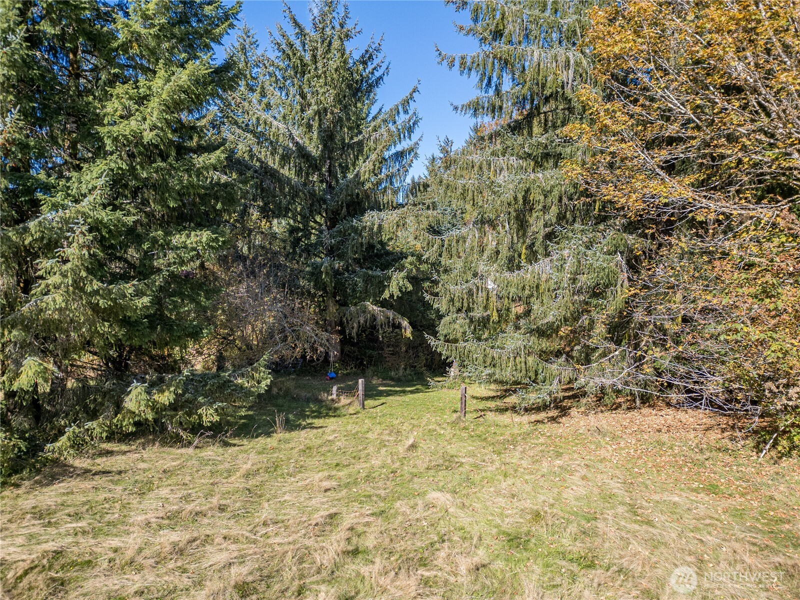 2095 Bear Creek Road Port Angeles, WA 98363 - Photo 37 of 39 a view of outdoor space and yard