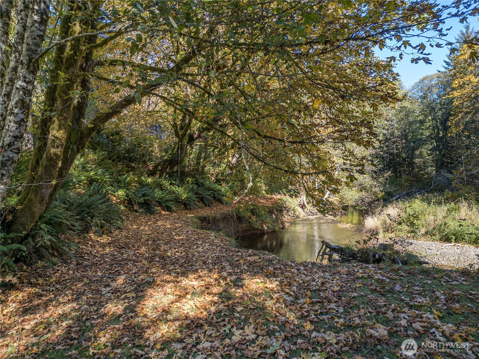 2095 Bear Creek Road Port Angeles, WA 98363 - Photo 38 of 39 a view of a yard with a tree