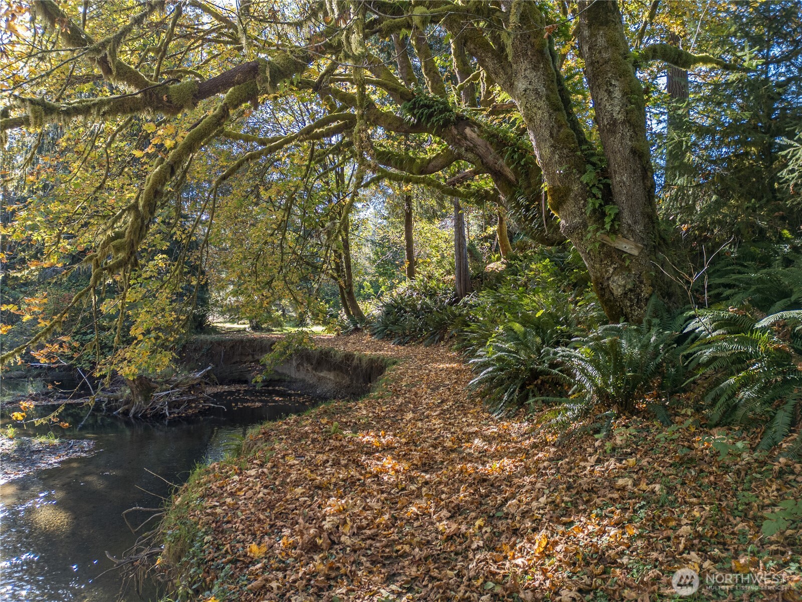 2095 Bear Creek Road Port Angeles, WA 98363 - Photo 39 of 39 a view of lake with green space