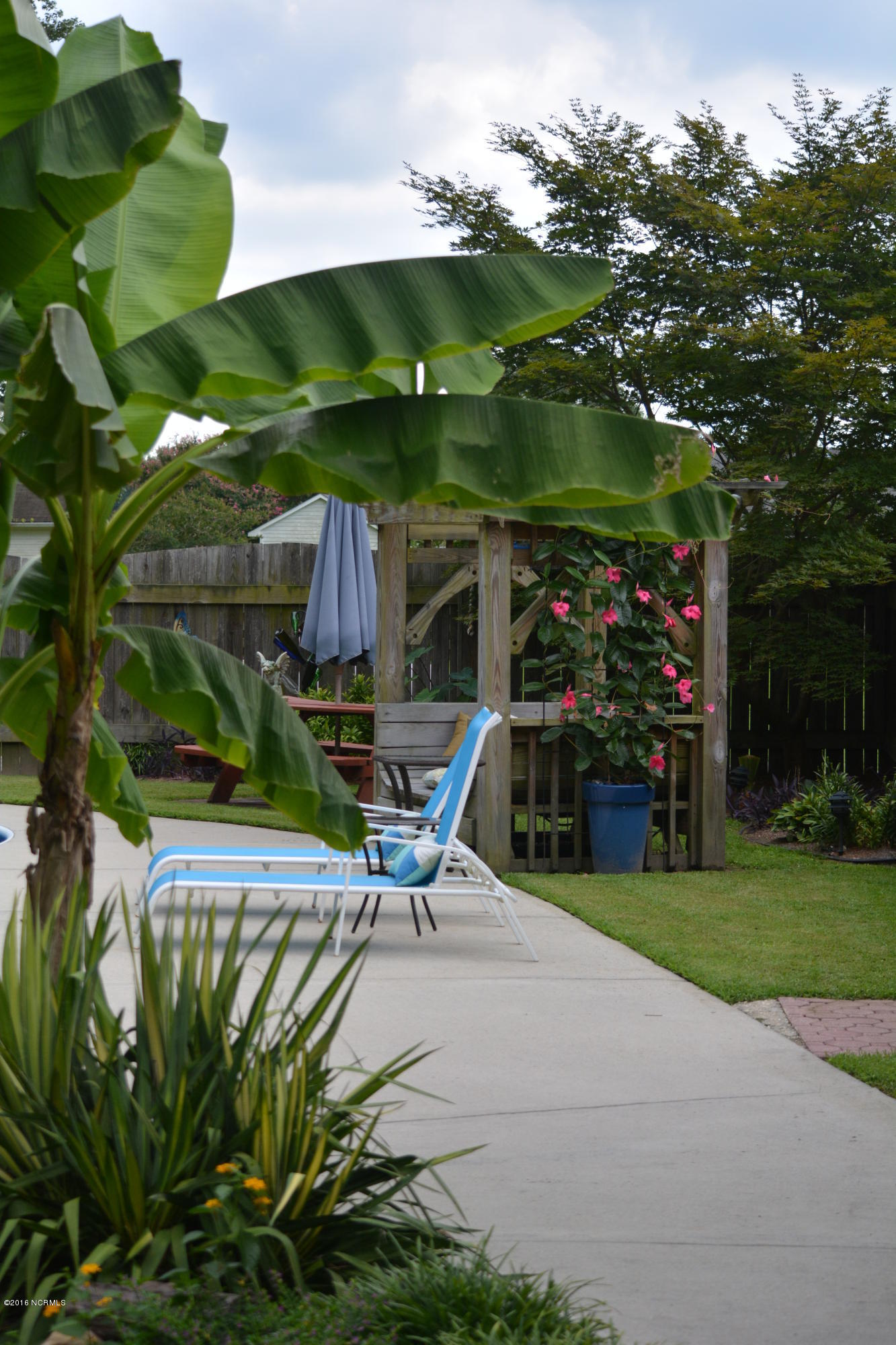 1088 Rock Road Williamston, NC 27892 - Photo 46 of 54 Powell 018