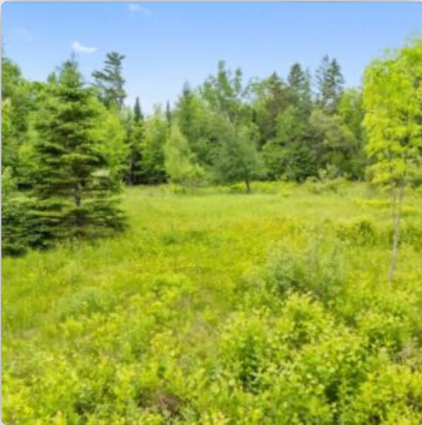 0 Hughes Road Sebec, ME 04481 - Photo 3 of 5 02