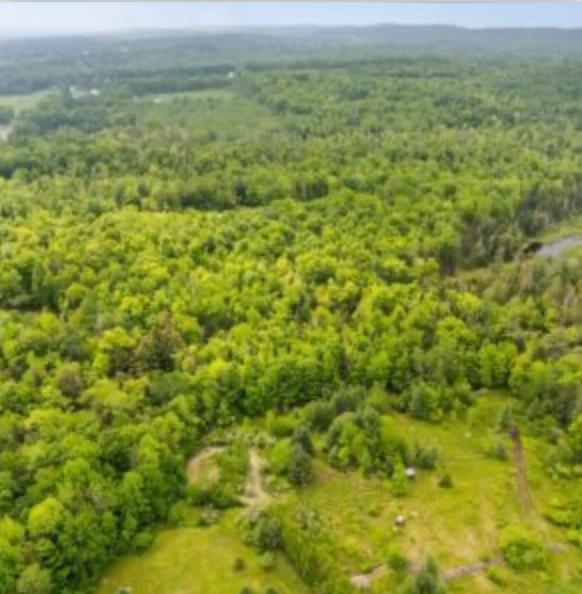 0 Hughes Road Sebec, ME 04481 - Photo 4 of 5 03