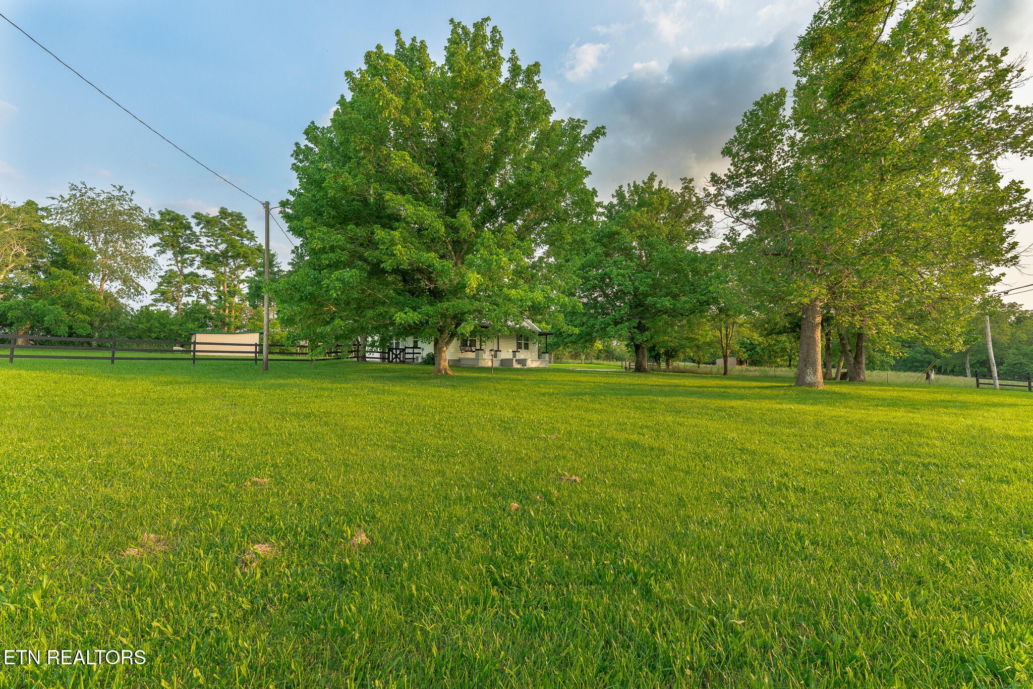 2530 Roslin Road Deer Lodge, TN 37726 - Photo 36 of 58