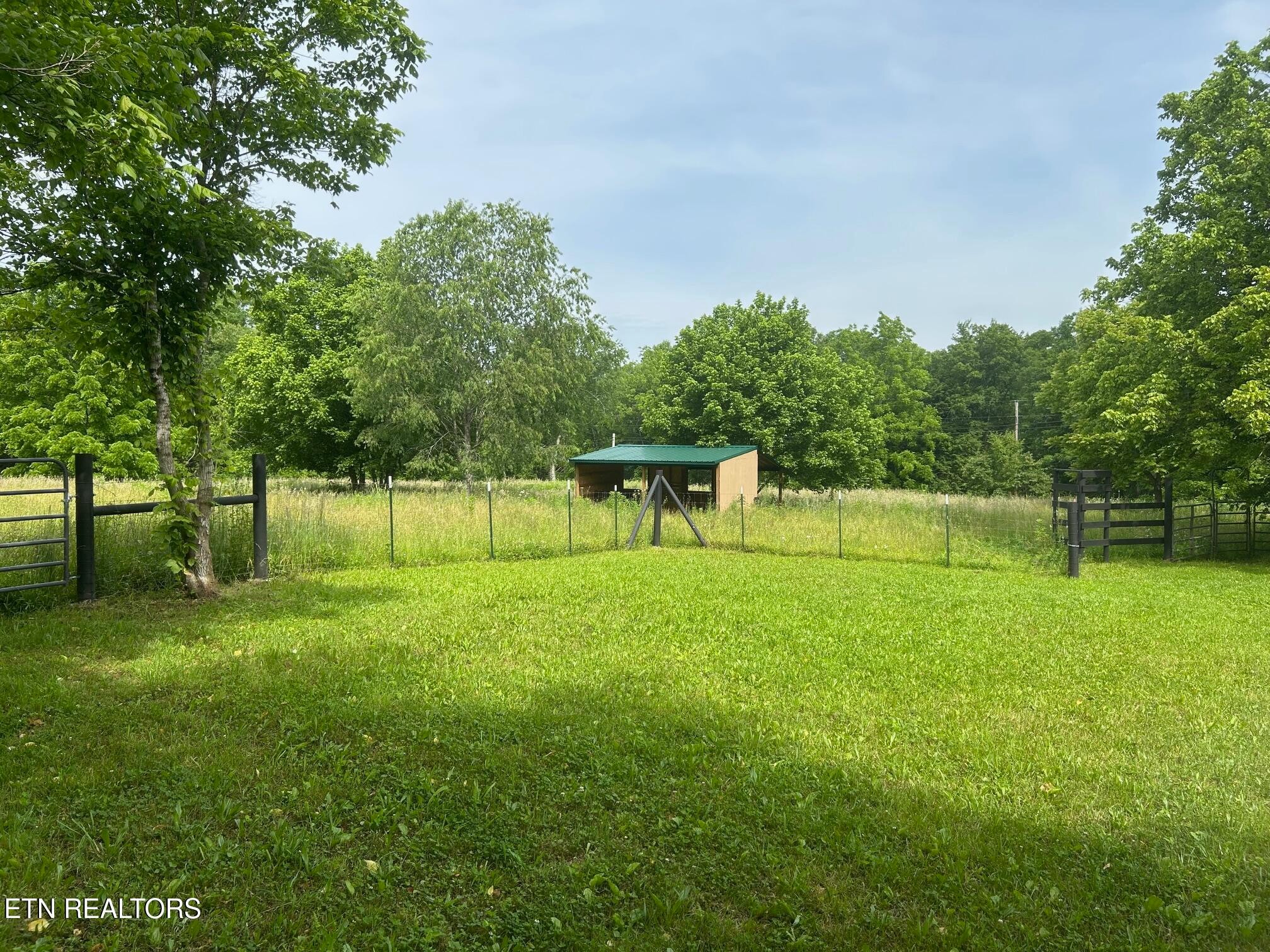 2530 Roslin Road Deer Lodge, TN 37726 - Photo 40 of 58 a view of a park with trees and grass