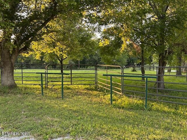 2530 Roslin Road Deer Lodge, TN 37726 - Photo 41 of 58 a view of a park