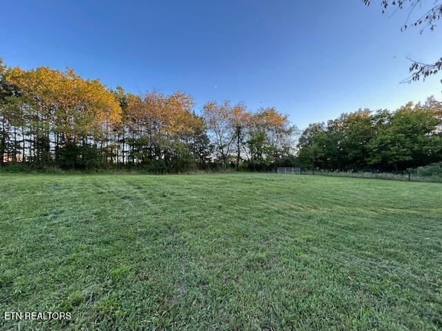 2530 Roslin Road Deer Lodge, TN 37726 - Photo 47 of 58 a view of a grassy field