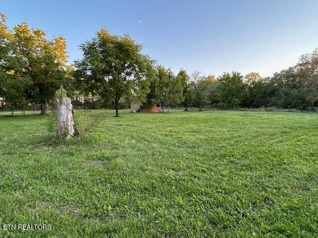 2530 Roslin Road Deer Lodge, TN 37726 - Photo 48 of 58 a view of field with trees in the background