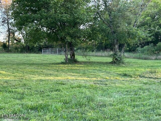 2530 Roslin Road Deer Lodge, TN 37726 - Photo 49 of 58 a big yard with lots of green space and trees
