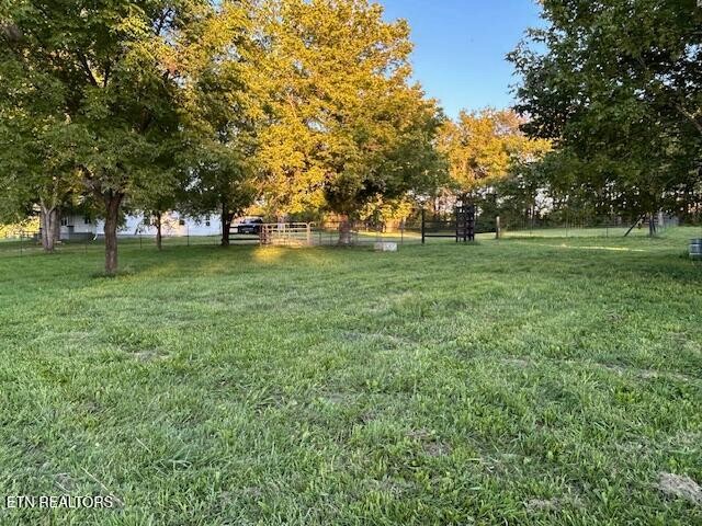 2530 Roslin Road Deer Lodge, TN 37726 - Photo 50 of 58 a huge green field with lots of trees