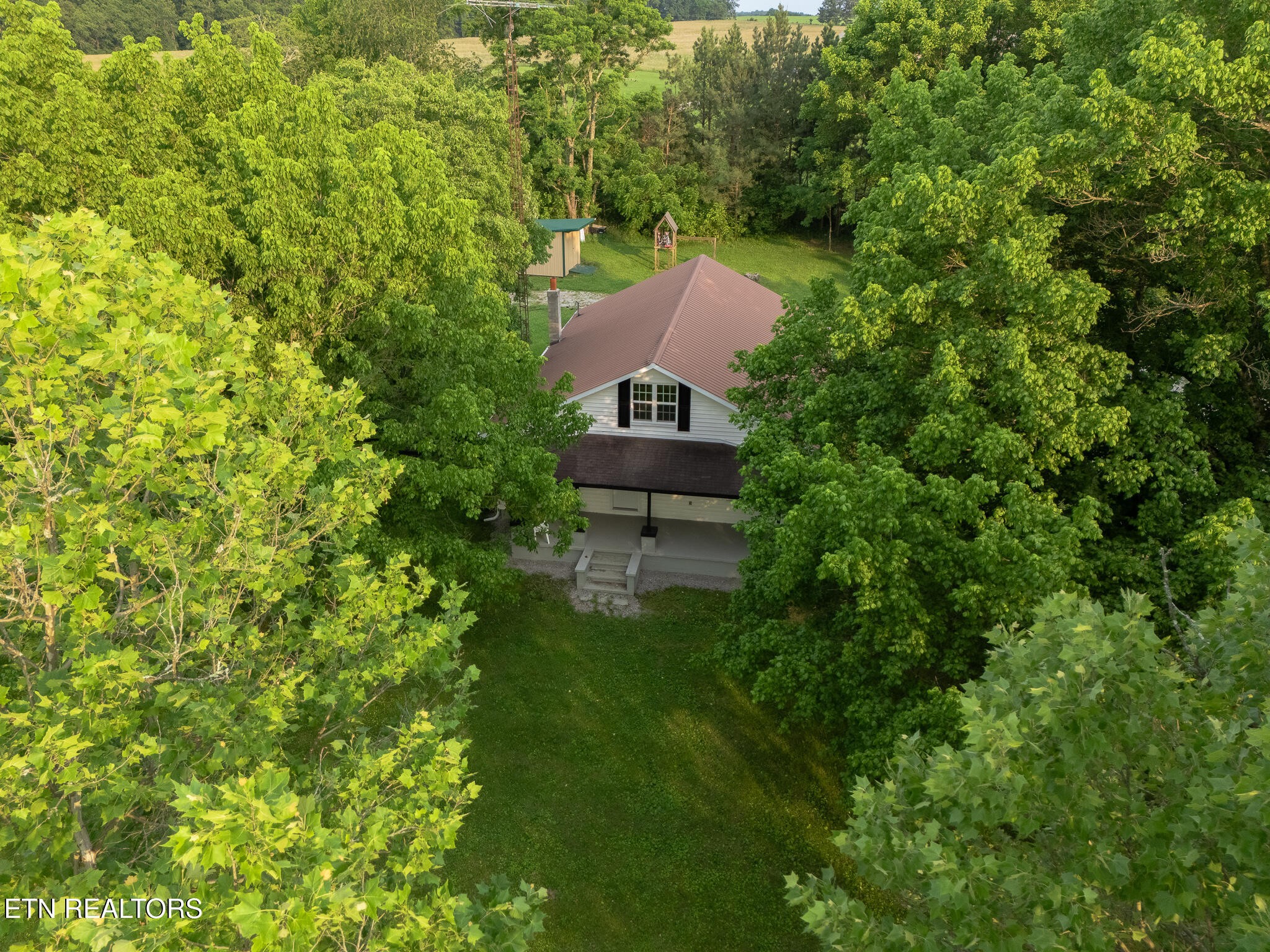 2530 Roslin Road Deer Lodge, TN 37726 - Photo 5 of 58 a view of a house with a yard
