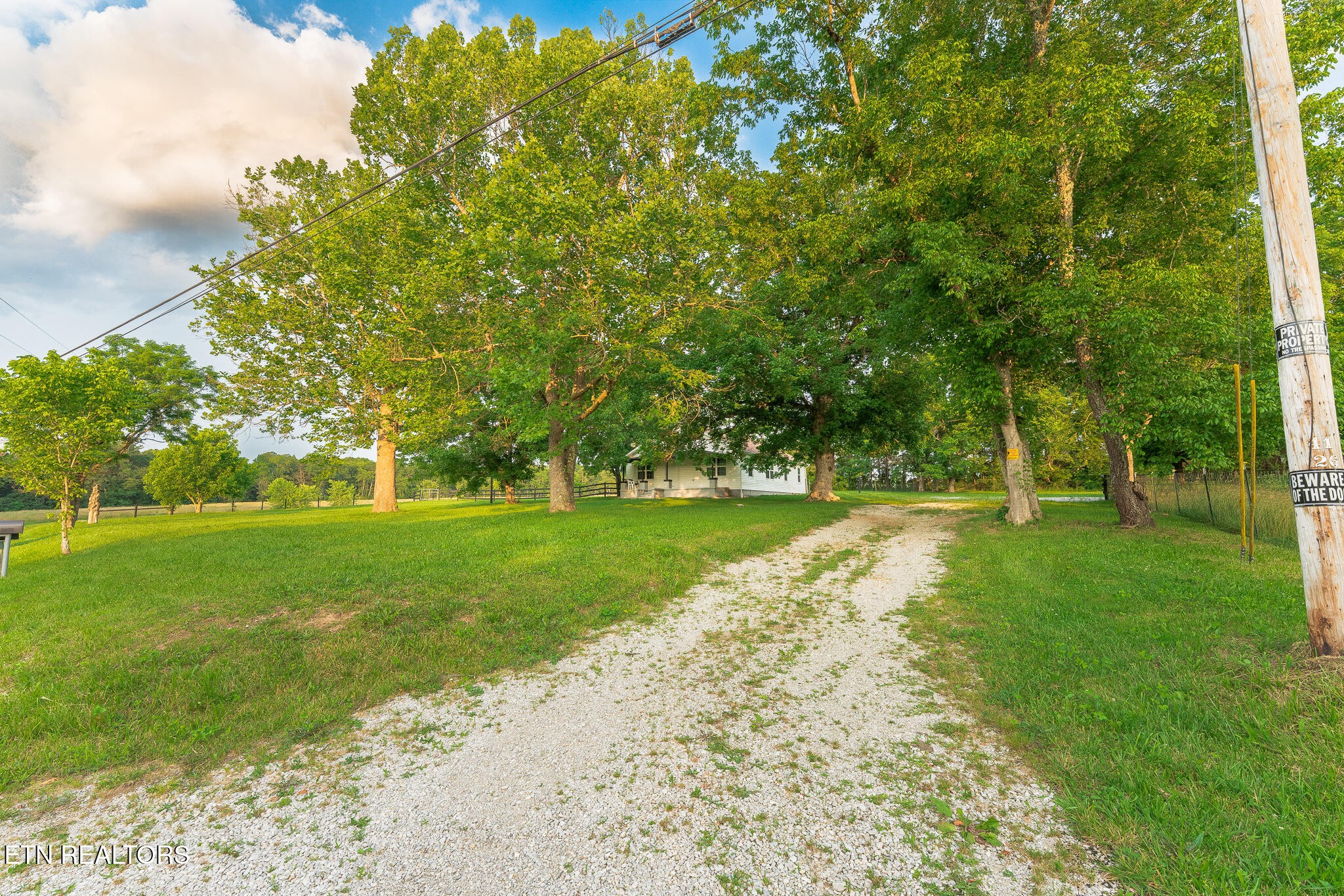 2530 Roslin Road Deer Lodge, TN 37726 - Photo 6 of 58 a view of yard with green space