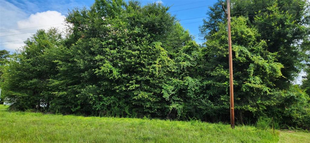 190 East E Highway Ragley, LA 70657 - Photo 2 of 7