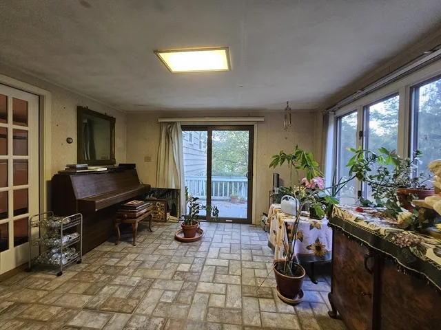 a room with furniture and potted plants