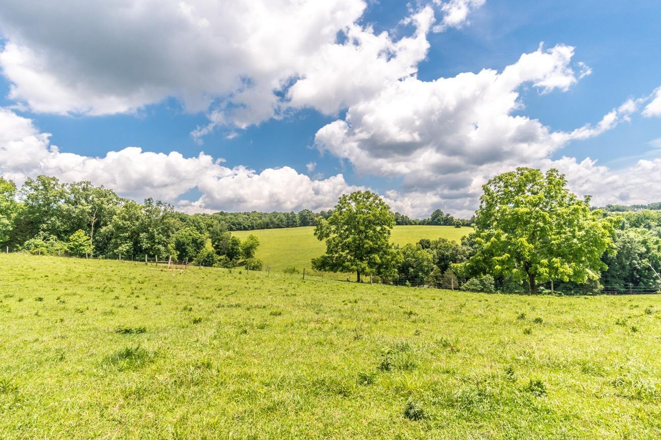149 Redbird Road Mount Vernon, KY 40456 - Photo 4 of 24 Photo 4