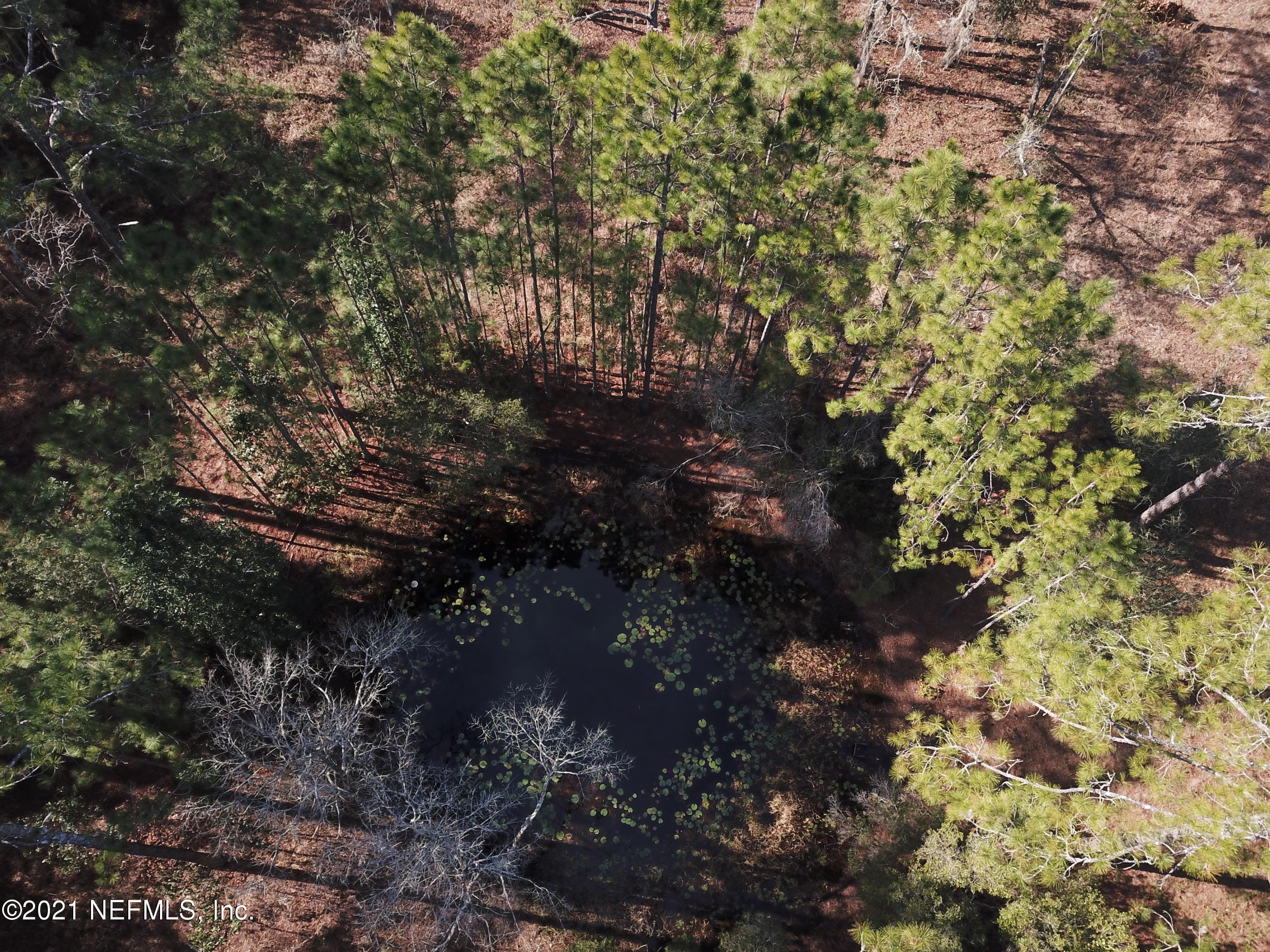 958 Browns Road Middleburg, FL 32068 - Photo 18 of 23 DJI_0043